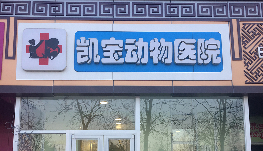 北(běi)京凱寶動物(wù)醫(yī)院