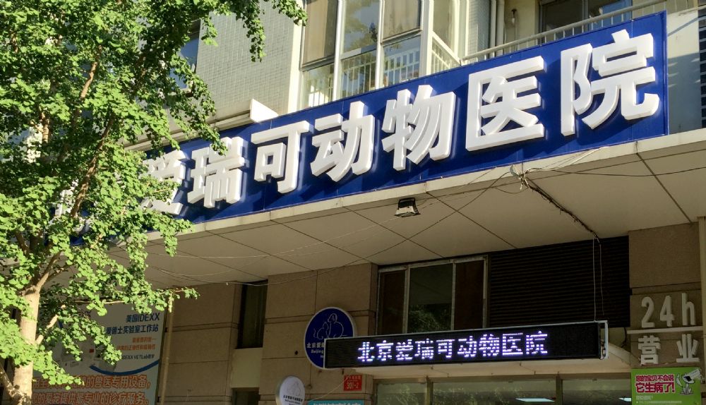 北(běi)京愛(ài)瑞可(kě)動物(wù)醫(yī)院