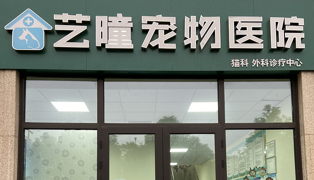 杭州藝曈寵物(wù)醫(yī)院