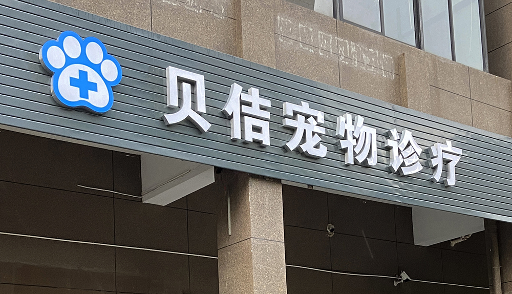 上(shàng)海(hǎi)貝佶寵物(wù)診療