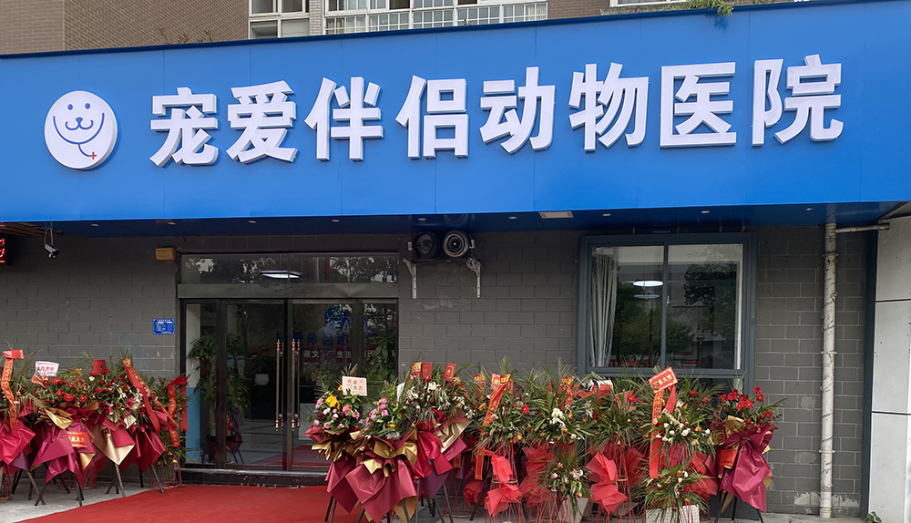 陝西(xī)安康寵愛(ài)伴侶動物(wù)醫(yī)院