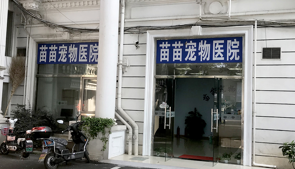 上(shàng)海(hǎi)苗苗寵物(wù)醫(yī)院